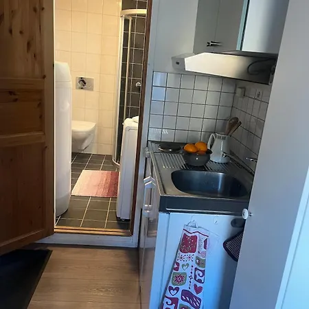 Apartmán I Med Gratis Parkering Lillehammer