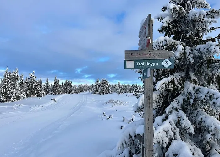 Apartment I Med Gratis Parkering Lillehammer