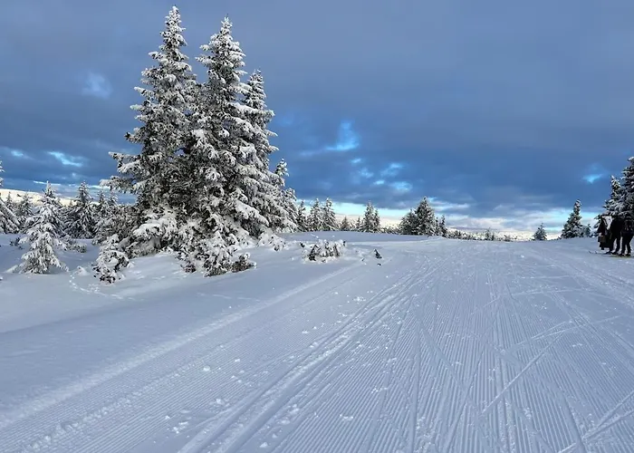 Apartment I Med Gratis Parkering Lillehammer