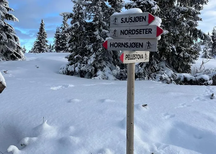 Apartment I Med Gratis Parkering Lillehammer