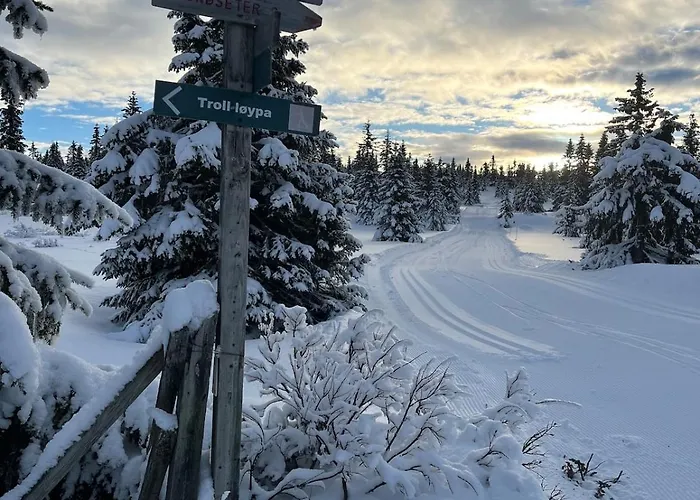 Apartment I Med Gratis Parkering